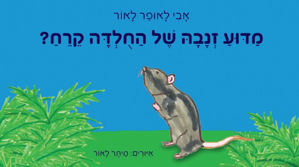 מדוע זנבה של החולדה קרח?